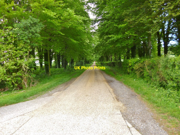 Photo 6"x4" Rockbourne, farm access road East Martin c2013