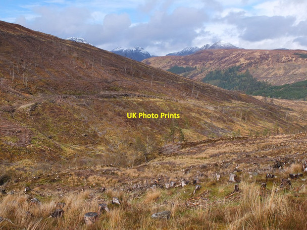 Photo 6"x4" Felled area, Coire a' B\u00c3\u00a0inidh Craig\/NH0349 c2013