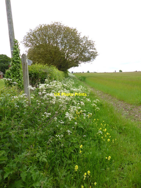 Photo 6"x4" Rockbourne, footpath East Martin c2013