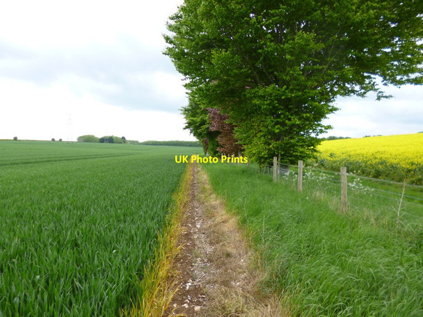 Photo 6"x4" Rockbourne Down, field boundaries East Martin c2013
