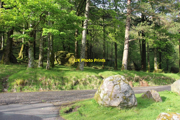 Photo 6"x4" Boulders litter the wooded floor of Glencroe Ardgartan c2013