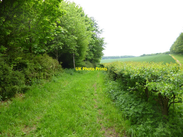 Photo 6"x4" Black Hill, farm track Whitsbury c2013