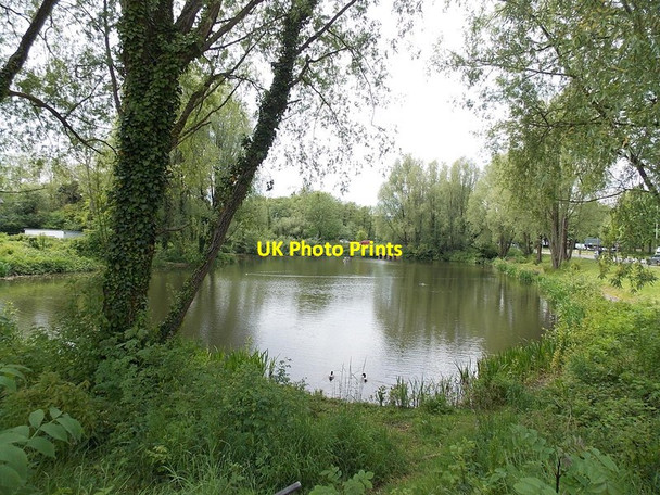 Photo 6"x4" Across a Llantarnam pond, Cwmbran Croes-y-mwyalch c2013