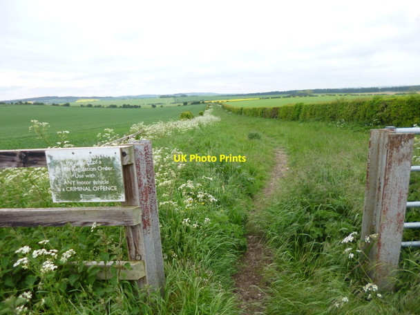Photo 6"x4" Whitsbury Down, barrier Whitsbury c2013