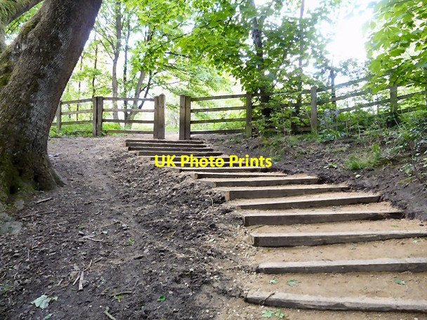 Photo 6"x4" Steps out of Gower Hey Woods Hyde\/SJ9494 c2013