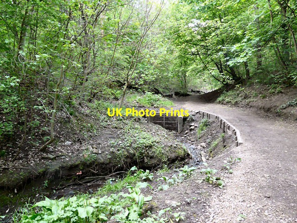 Photo 6"x4" Gower Hey Brook culvert Hyde\/SJ9494 c2013