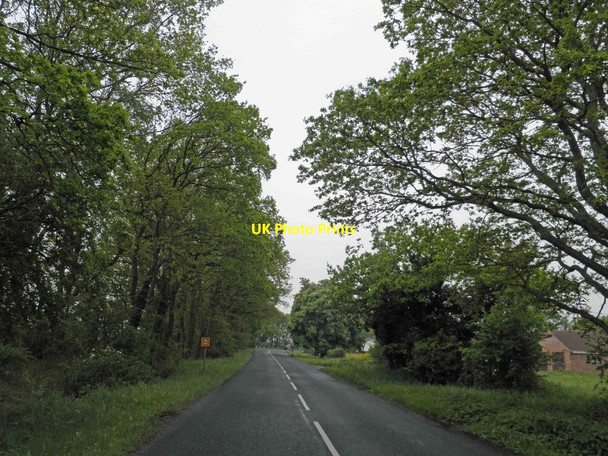 Photo 6"x4" Holme Lane Holme\/SE9206 c2013