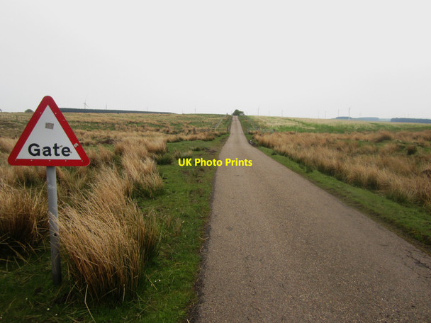 Photo 6"x4" Gate on country road crossing Quarryhouse Moor Foumart Knowe c2013