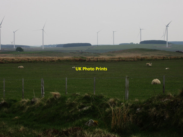 Photo 6"x4" Grassland near Haughterslaw Hangwell Law c2013