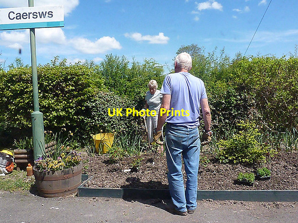 Photo 6"x4" Tending the garden at Caersws station Carnedd c2013