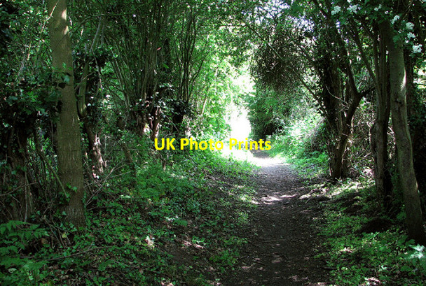 Photo 6"x4" Shaded path from Wade Hall to Barnby Barnby c2013