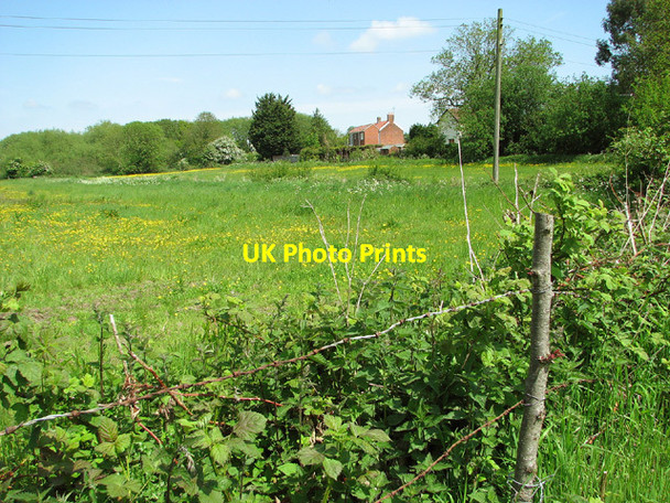 Photo 6"x4" Pasture beside Hundred Drain, Barnby Barnby c2013
