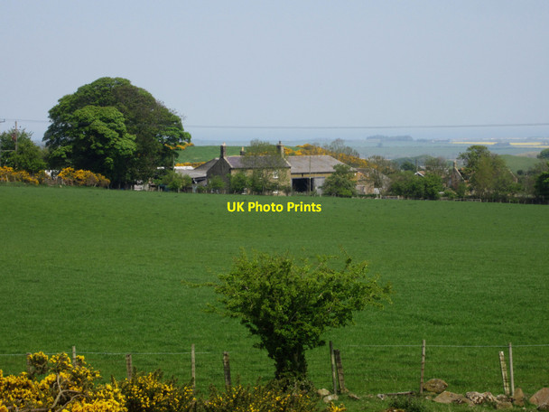 Photo 6"x4" Looking across grassland to Rayheugh Warenford c2013