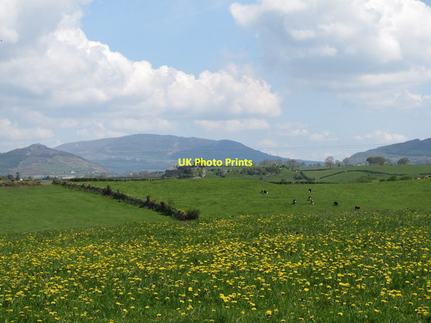 Photo 6"x4" Natural meadow at Slieve Hackballs Cross c2013