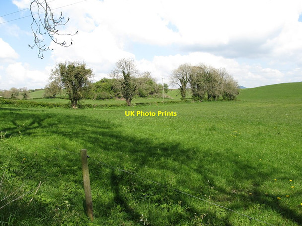 Photo 6"x4" Undulating farmland in the Townland of Slieve Hackballs Cross c2013