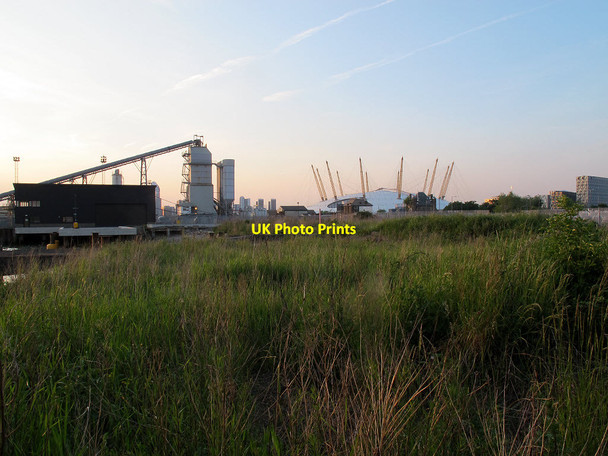 Photo 6"x4" Wild grass by the Thames Greenwich\/TQ3977 c2013