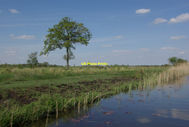 Photo 6"x4" Wicken Lode Wicken\/TL5670 c2013