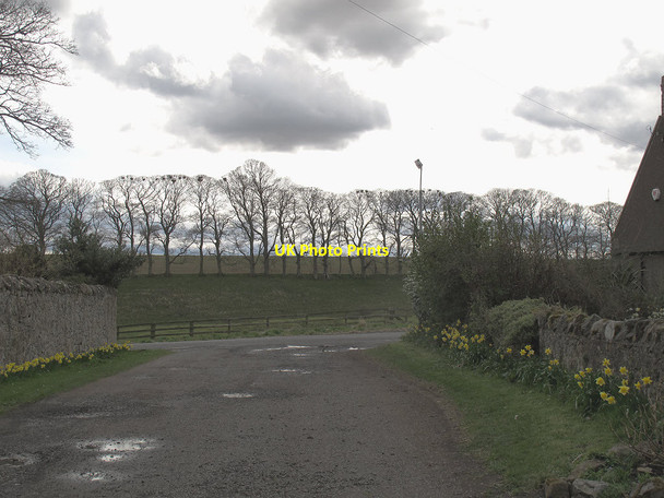 Photo 6"x4" Church Drive, Ancroft Ancroft c2013