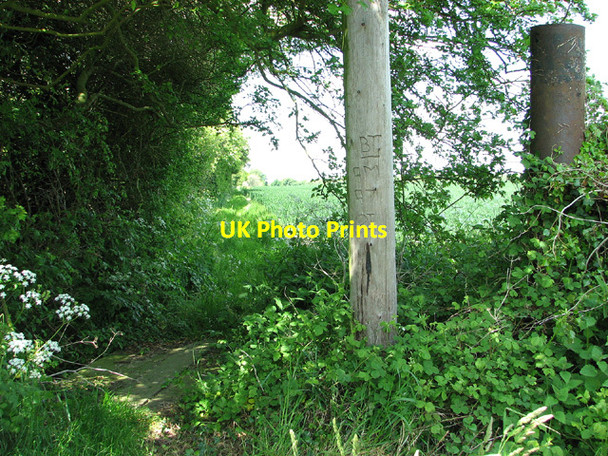 Photo 6"x4" Footpath to Barnby Barnby c2013
