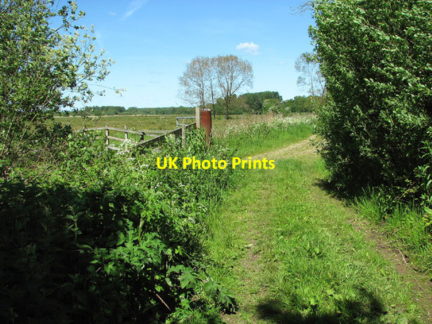 Photo 6"x4" Path along the edge of the marshes at Aldeby Aldeby c2013
