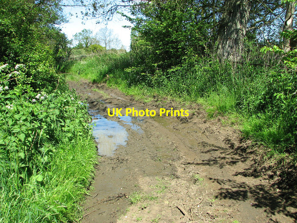 Photo 6"x4" Muddy path by Sutton's Farm, Aldeby Aldeby c2013