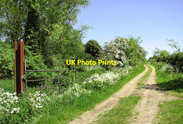 Photo 6"x4" Track by Sutton's Farm, Aldeby Aldeby c2013