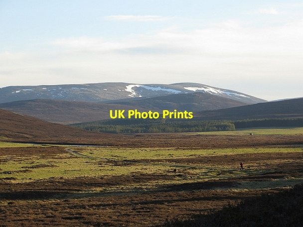 Photo 6"x4" The glen of the Dee Chest of Dee c2013