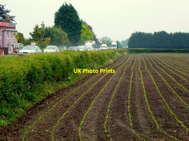 Photo 6"x4" Maize drills by the A40 at Huntley Huntley\/SO7219 c2013