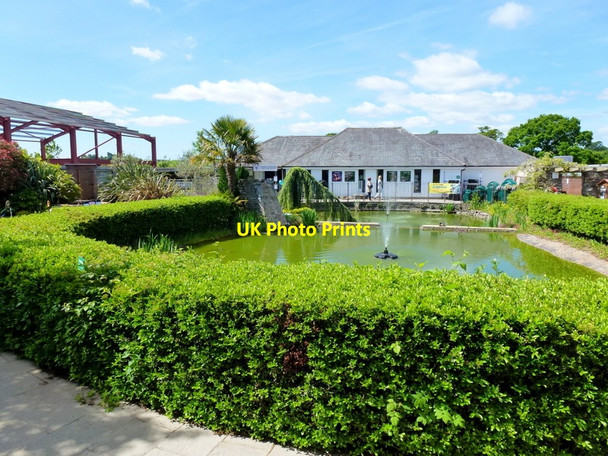 Photo 6"x4" Pond at Chepstow Garden Centre Chepstow\/Cas-Gwent c2013
