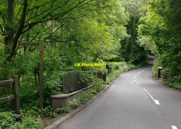 Photo 6"x4" Hazel Bridge Chiddingfold c2013