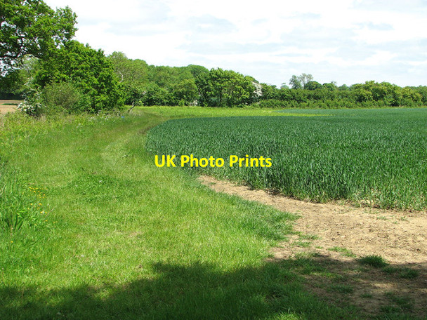 Photo 6"x4" Fields north of Boot's Lane Bull's Green\/TM4194 c2013