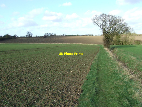 Photo 6"x4" Looking North Wootten Green c2013