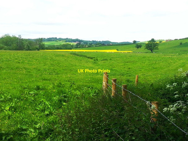 Photo 6"x4" A field at Stanford Bridge, Worcs Stanford Bridge c2013