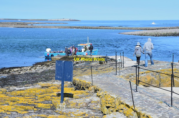 Photo 6"x4" Jetty on Inner Farne Seahouses c2013