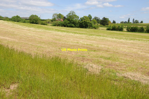 Photo 6"x4" Harvested grassland Huntley\/SO7219 c2013