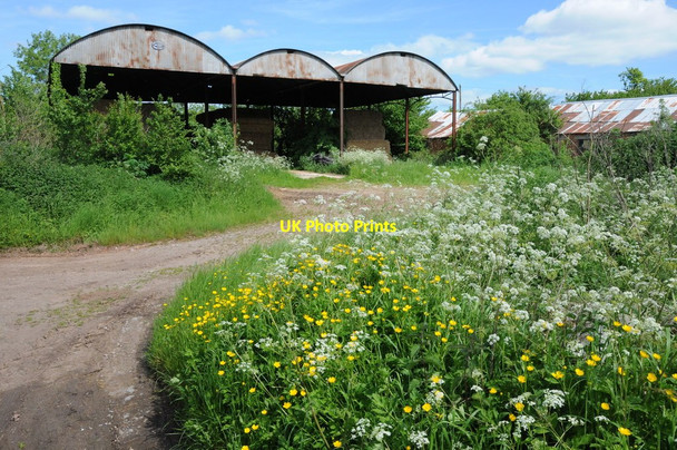 Photo 6"x4" Dutch barns at Lower Ley Oakle Street c2013