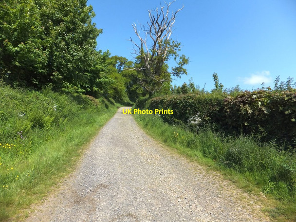 Photo 6"x4" Tarka Trail near Beare Farm, Okehampton Okehampton c2013