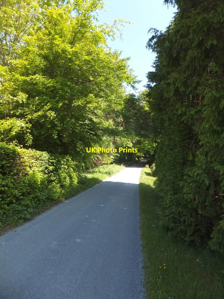 Photo 6"x4" Minor road entering Abbeyford Woods Okehampton c2013