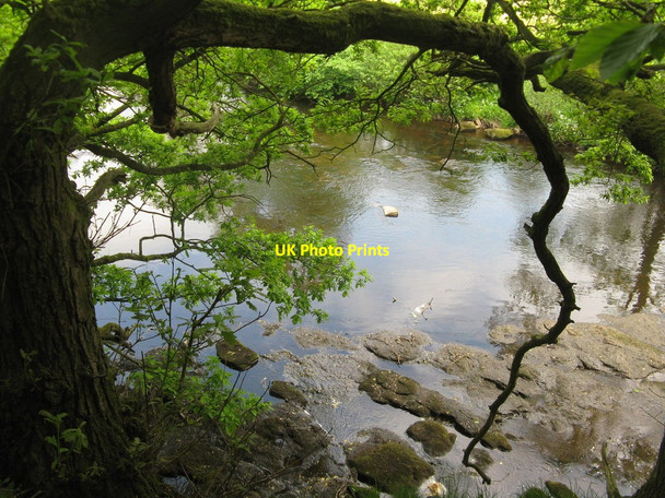Photo 6"x4" River Derwent Hathersage c2013