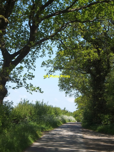 Photo 6"x4" Tarka Trail to Jacobstowe Brightley\/SX5997 c2013