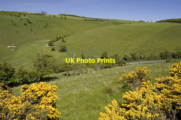 Photo 6"x4" Frendal Dale meets Millington Dale Millington c2013