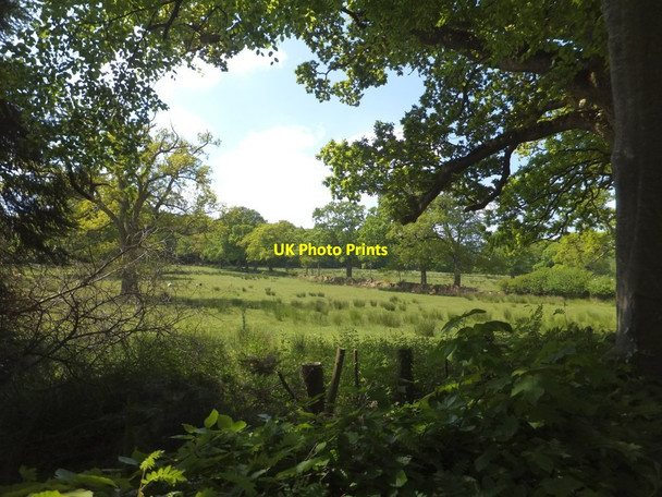 Photo 6"x4" Field north-west of Jacobstowe  Jacobstowe c2013