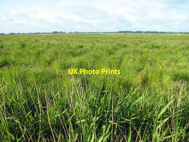 Photo 6"x4" View across Peto's Marsh Oulton Broad c2013