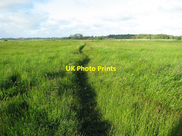 Photo 6"x4" Narrow path through cattle pasture in Share Marsh Oulton Broad c2013