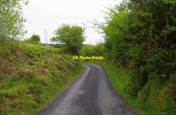 Photo 6"x4" The road to Ballylaghnan, near Ballybrogan, Co. Clare Tuamgraney c2013