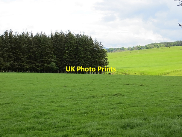 Photo 6"x4" Field, Biddlestone Clennell c2013