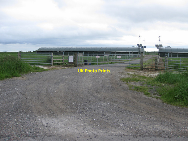 Photo 6"x4" Poultry houses, Carr Lane Aike c2013