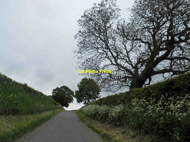 Photo 6"x4" Nearly at the top of the hill Normanby le Wold c2013