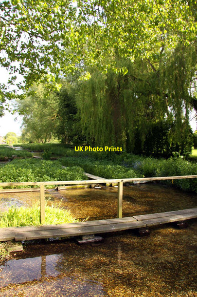 Photo 6"x4" Watercress beds behind the ford Ewelme c2013
