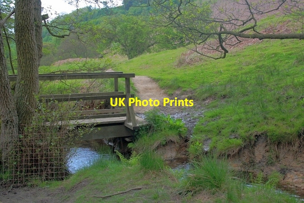 Photo 6"x4" Footbridge over Levisham Beck Levisham c2013